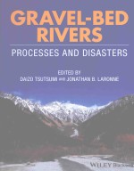 GRAVEL-BED RIVERS PROCESSES <em>AND</em> DESASTERS