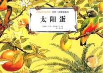 艾莎·贝斯<em>寇</em>系列  太阳蛋