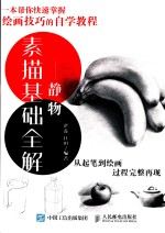 素描基础全解  静物