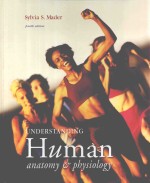 <em>UNDERSTANDING</em> HUMAN ANATOMY & PHYSIOLOGY  <em>FOURTH</em> <em>EDITION</em>