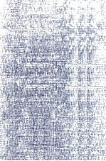 Regional Development <em>in</em> Communist Yugoslavia Success