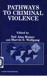 PATHWAYS TO CRI<em>M</em>INAL VIOLENCE