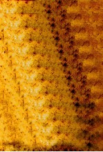 あなたの推理<em>力</em>をテストする80題
