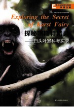 探秘喀斯特精灵  白头叶猴科考实录