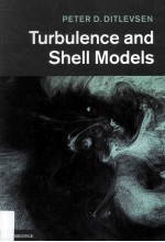 TURBULENCE AND SHELL <em>MODELS</em>