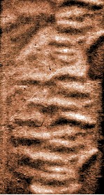 韩氏<em>医通</em>  <em>卷</em>上<em>下</em>