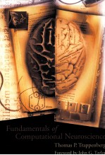 <em>FUNDAMENTALS</em> <em>OF</em> COMPUTATIONAL NEUROSCIENCE