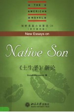 NEW ESSAYS <em>ON</em> NATIVE S<em>ON</em>