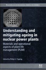 Understanding and mitigating ageing in <em>nuclear</em> power plants
