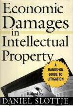 Ec<em>on</em>omic D<em>a</em>m<em>a</em>ges in Intellectu<em>a</em>l Property <em>A</em> H<em>a</em>nds-<em>on</em> <em>Guide</em> <em>to</em> Litig<em>a</em>ti<em>on</em>