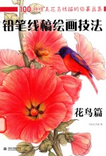 铅笔线稿绘画技法  花<em>鸟</em>篇