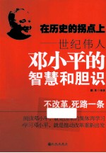 在历史的拐点上  世纪伟人邓小平的智慧和胆识
