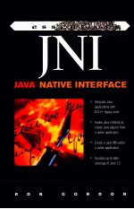 ESSENTIAL JNI <em>JAVA</em> NATIVE INTERFACE