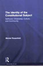 THE IDENTITY OF THE CONSTITUTIONAL <em>SUBJECT</em>