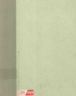 THE COMPUTER IN THE <em>VISUAL</em> ARTS