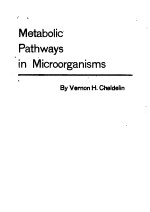 METABOLIC PAT<em>H</em>WAYS IN MICROORGANISMS