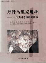 丹丹乌里克遗址  中日共同考察研究报告