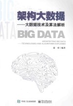 架构大数据  大数据<em>技术</em>及算法解析
