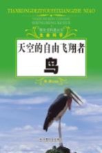 天空的自由飞翔者  鸟