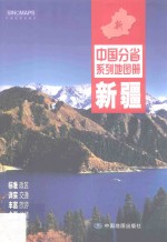 <em>中国</em>分省系列地图册  新疆