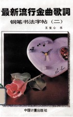 最新流行金曲歌词钢笔书法字帖  第2辑