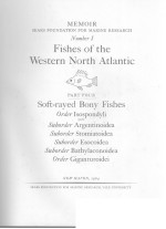 FISHES <em>OF</em> THE WESTERN NORTH ATLANTIC PART <em>FOUR</em>