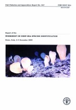 FAO FISHERIES AND AQUACULTURE REPORT NO.947 REPORT <em>OF</em> THE WORKSHOP ON DEEP-SEA SPECIES IDENTIFICATIO