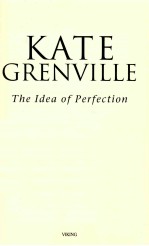 <em>THE</em> IDEA OF PERFECTION