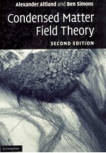 Condensed <em>M</em>atte<e<em>m</em>>r</e<em>m</em>> Field Theo<e<em>m</em>>r</e<em>m</em>>y Second edition