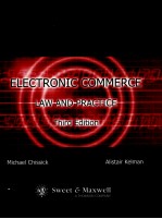 ELECTRONIC COMMERCE <em>L<em>A</em>W</em> <em>A</em>ND PR<em>A</em>CTICE <em>THIRD</em> <em>EDITION</em>