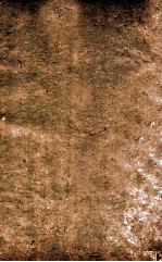 女科证治准绳  卷3  上