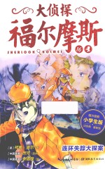 连环失踪大探案  小学生版