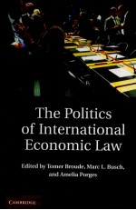 THE POLITICS OF INTERNATIONAL <em>ECONOMIC</em> LAW