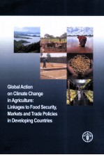 GLOBAL ACTION ON CLIMATE CHANGE <em>IN</em> AGRICULTURE:L<em>IN</em>KAGES TO FOOD SECURITY