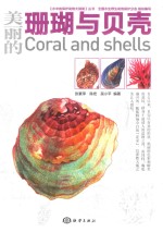水中的保护动物大探秘  美丽的珊瑚与贝壳