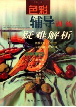 色彩辅导训练疑难解析  水粉技巧