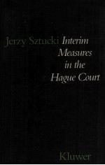 INTERIM MEASURES IN <em>THE</em> HAGUE COURT AN ATTEMPT AT A SCRUTINY