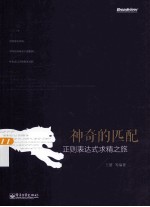 神奇的匹配  正则表达式求精之旅
