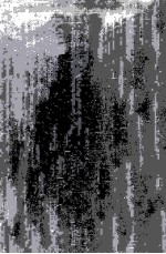 BEYOND <em>THE</em> MARKET <em>THE</em> <em>SOCIAL</em> FOUNDATIONS <em>OF</em> ECONOMIC EFFICIENCY