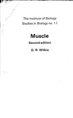 MUSCLE  <em>SECOND</em> <em>EDITION</em>