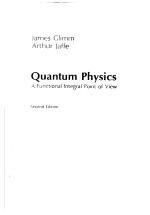 QUANTUM <em>PHYSICS</em>：A FUNCTIONAL INTEGRAL POINT <em>OF</em> VIEW  <em>SECOND</em> <em>EDITION</em>