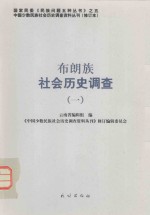 布朗族社会历史调查  1