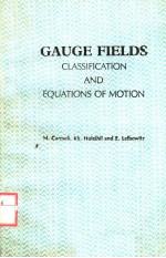 GAUGE FIELDS CLASSIFICATION AND EQUATIONS OF <em>M</em>OTION