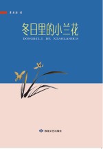 冬日里的小兰花