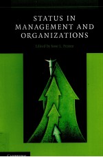 STATUS IN <em>MANAGEMENT</em> AND ORGANIZATIONS