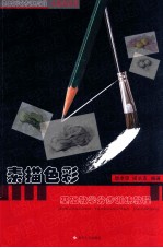 素描<em>色彩</em>基础教学分步训练教程  水果蔬菜篇