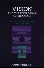 <em>VISION</em> AND THE EMERGENCE <em>OF</em> MEANING
