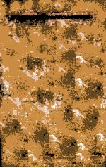 NEW PERSPECTIVES ON <em>THOMAS</em> HARDY