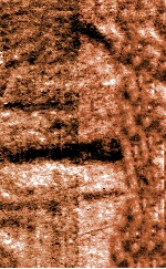 景<em>钞</em>清初稿本  杜诗言志  6  卷6