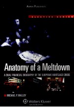 ANATOMY OF A MELTDOWN A DUAL <em>FINANCIAL</em> BLOGRAPHY OF THE SUBPRME MORTGAGE CRISIS